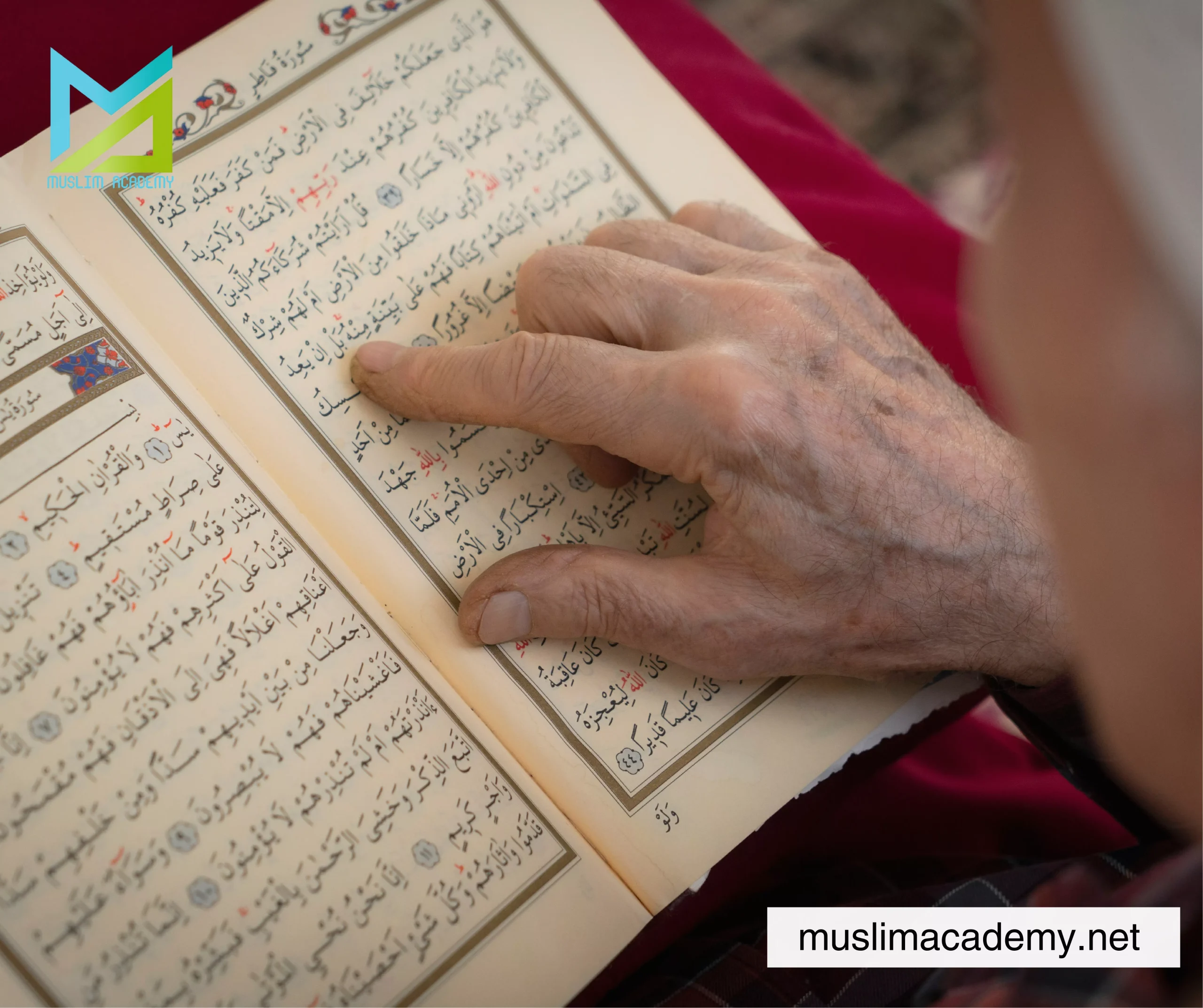 Tadabbur Al-Quran, Muslim Academy