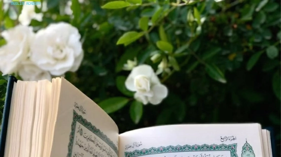 tips to memorize quran, Muslim Academy