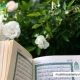 tips to memorize quran, Muslim Academy