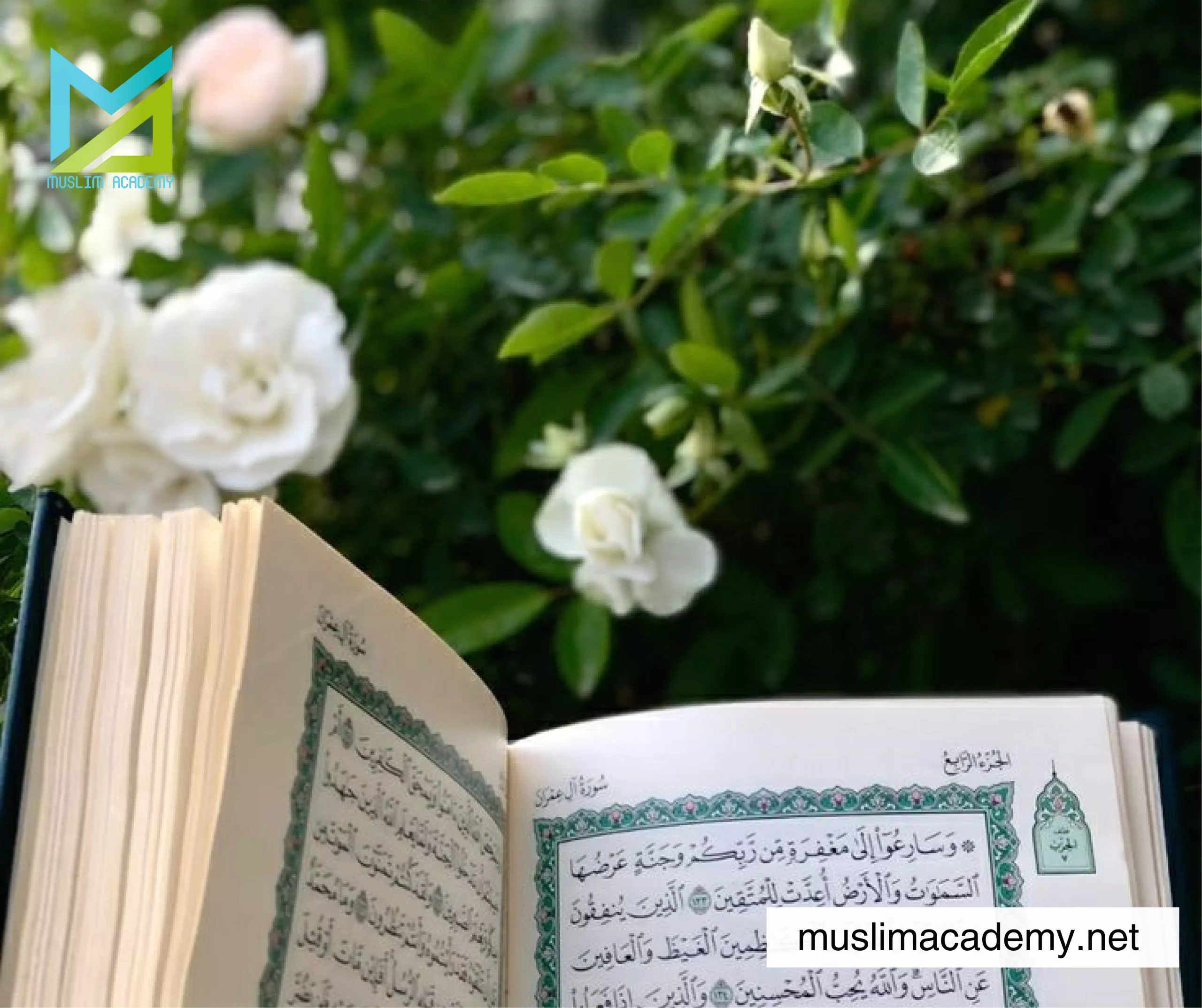 tips to memorize quran, Muslim Academy