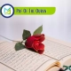 PDF Of The Quran 1, Muslim Academy