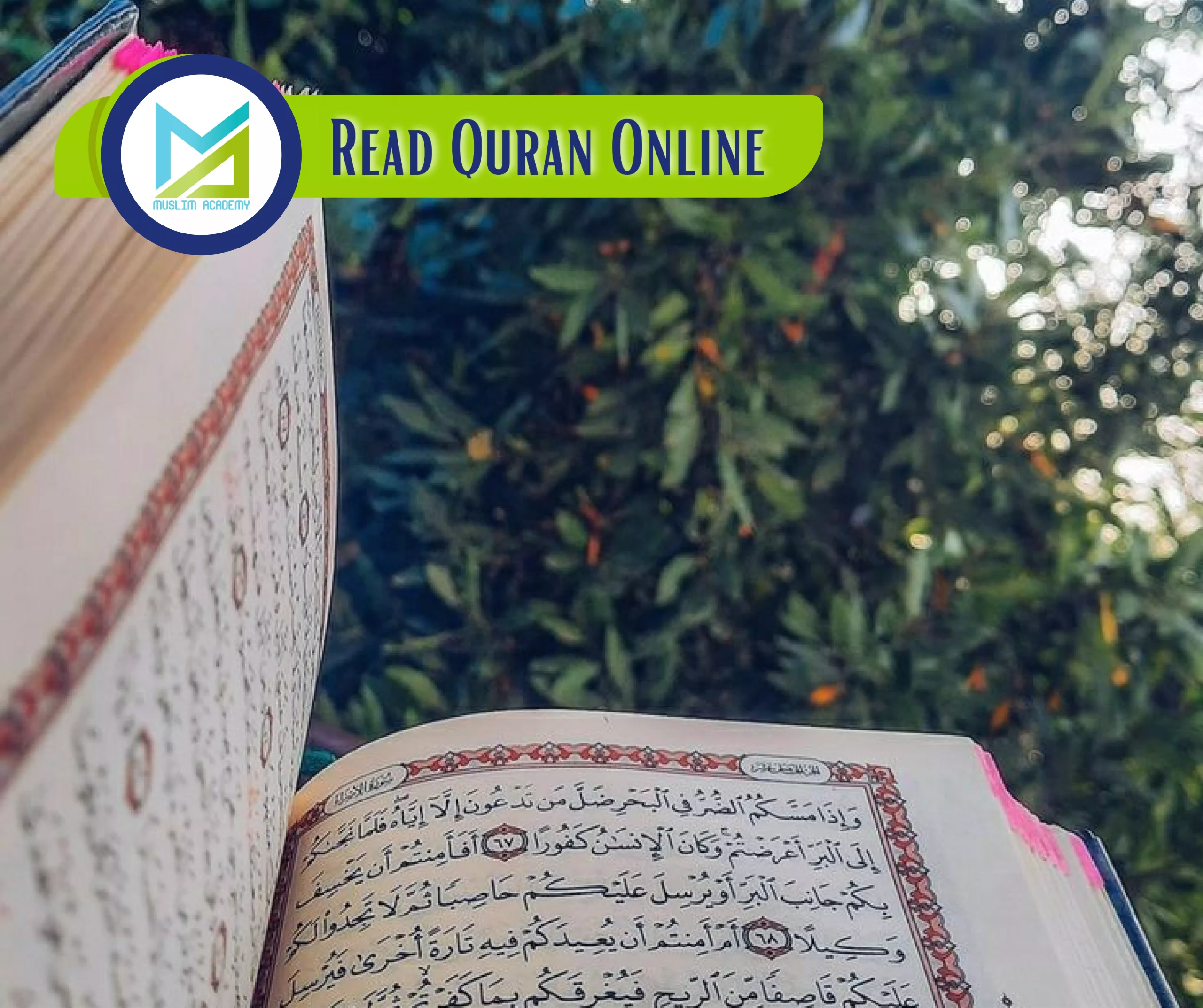 Read Quran Online, Muslim Academy