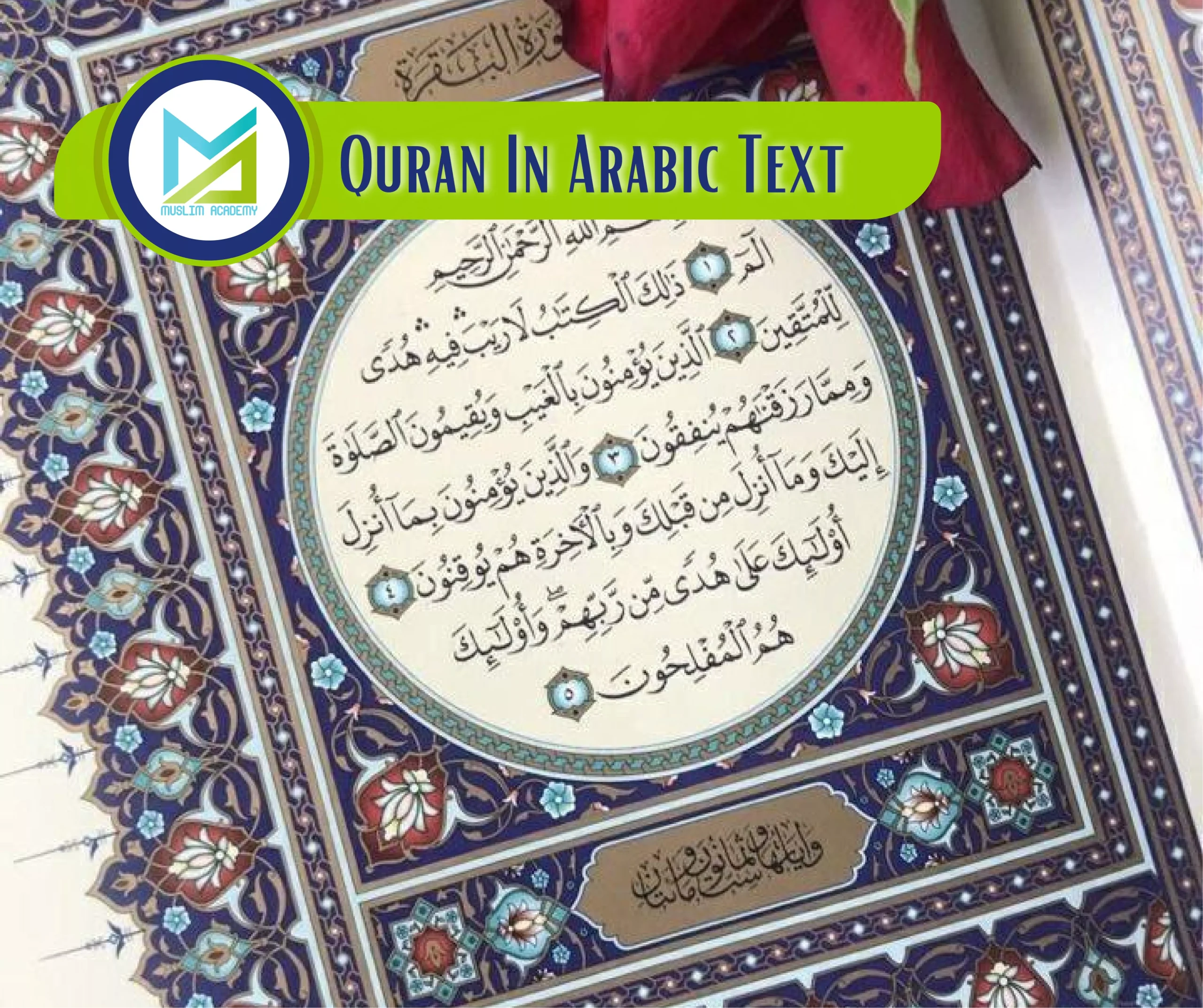 Quran In Arabic Text, Muslim Academy