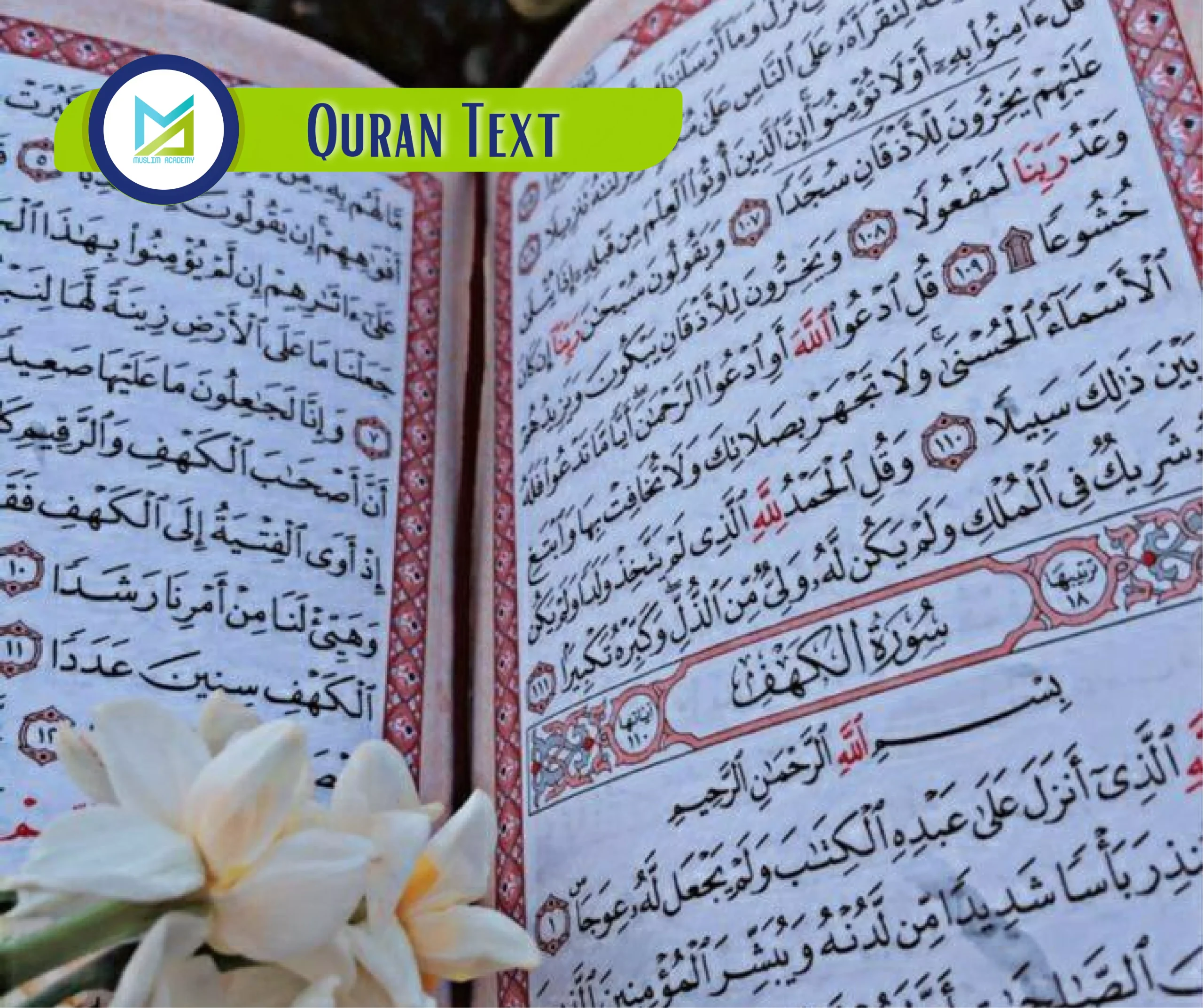 Quran Text, Muslim Academy