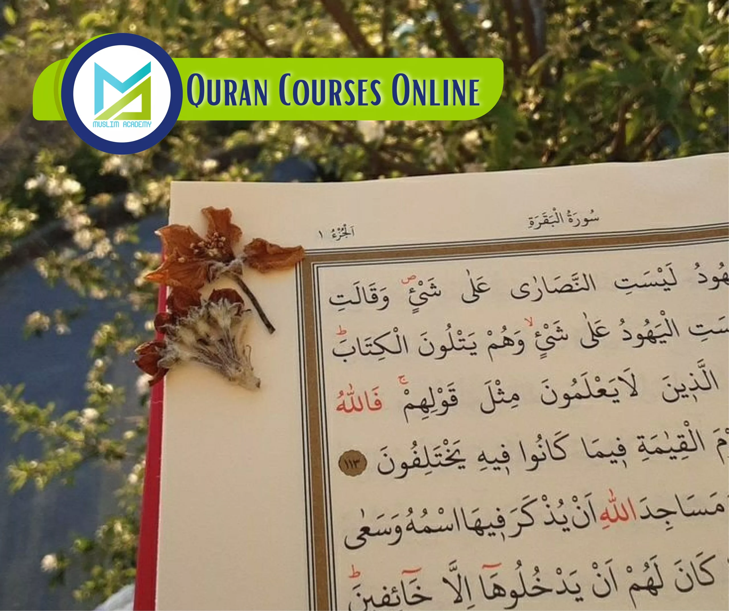 Quran Courses Online, Muslim Academy