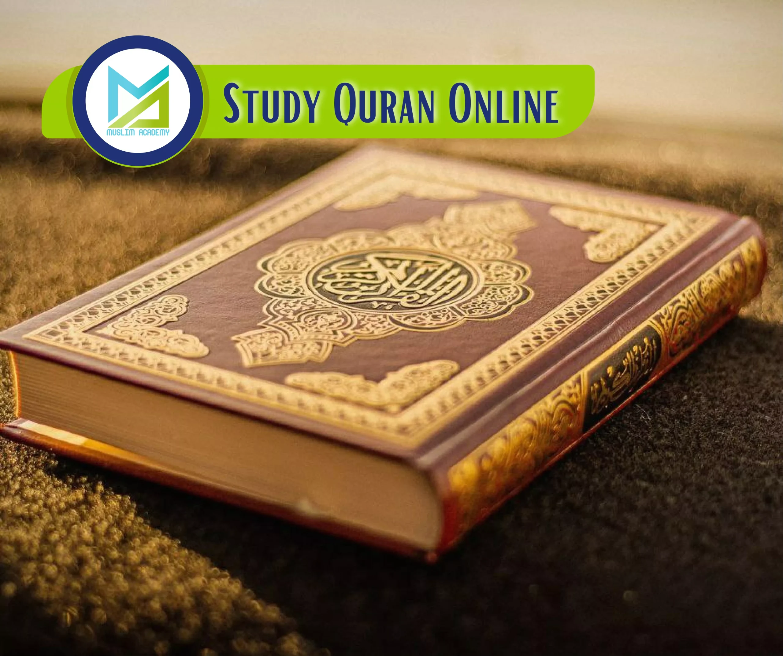 Study Quran Online, Muslim Academy