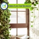 Quran Class For Beginners, Muslim Academy
