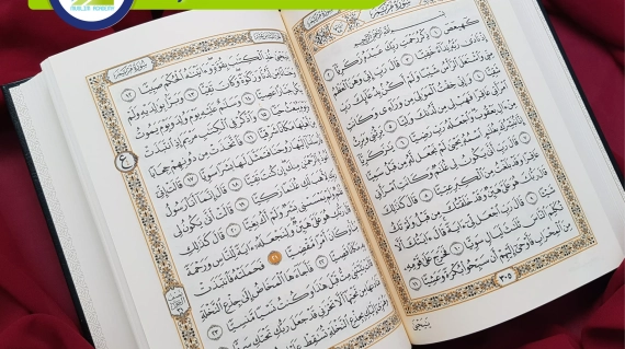 Tajweed Teacher, Muslim Academy