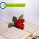 Quran Classes For Women, Muslim Academy