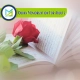 Quran Memorization For Adults, Muslim Academy