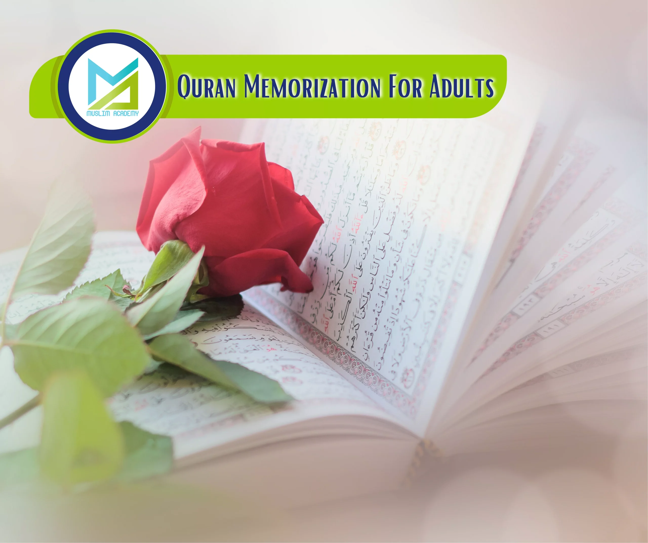 Quran Memorization For Adults, Muslim Academy