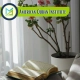 American Quran Institute, Muslim Academy