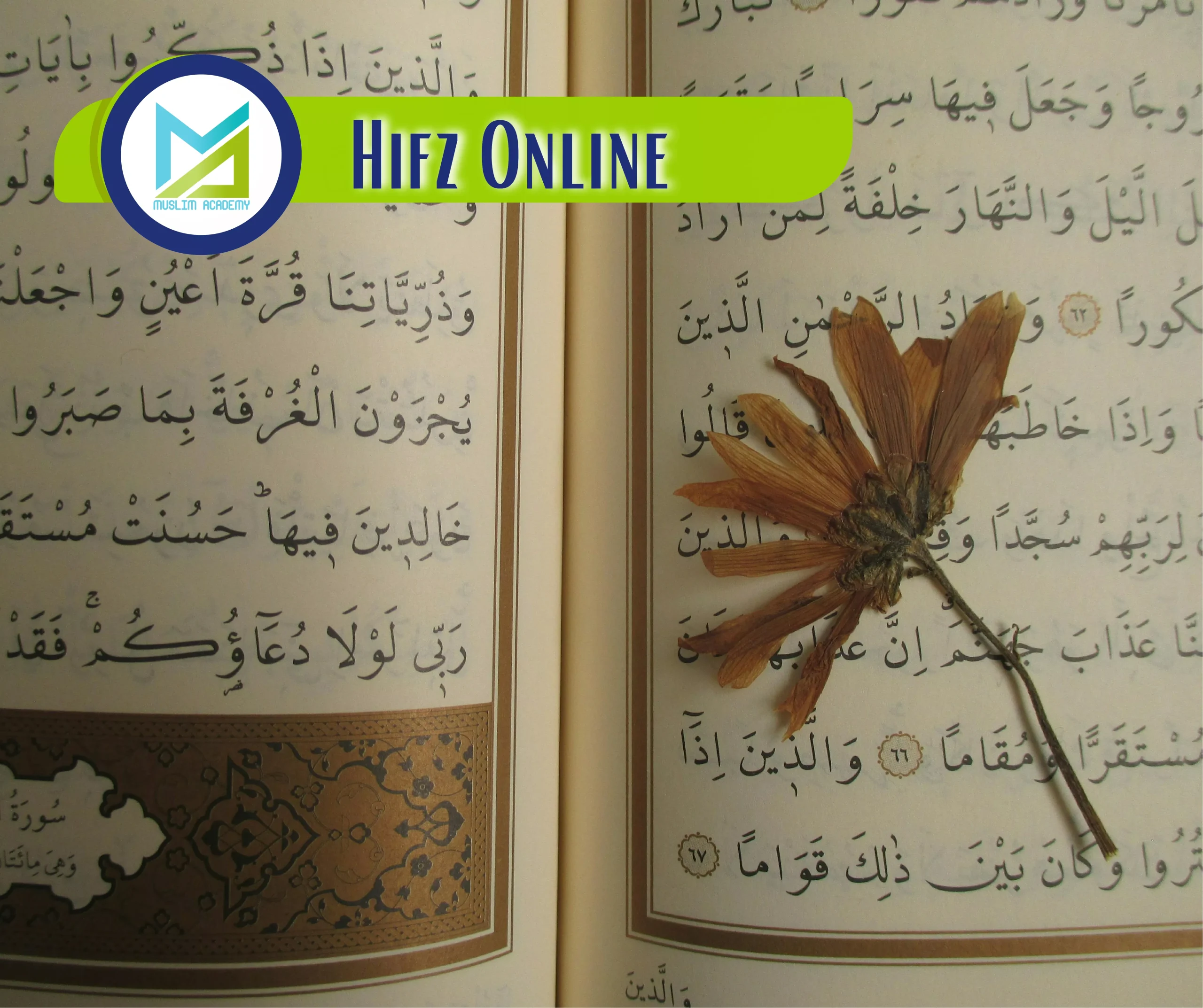 Hifz Online, Muslim Academy