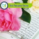 Hifz Program Online, Muslim Academy