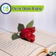 Online Quran Reading, Muslim Academy