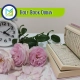 Holy Book Quran, Muslim Academy