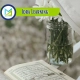 Iqra Learning, Muslim Academy