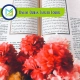 Online Quran Tafseer Course, Muslim Academy