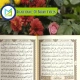 Significance Of Surah Yaseen, Muslim Academy