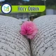 Holy Quran, Muslim Academy